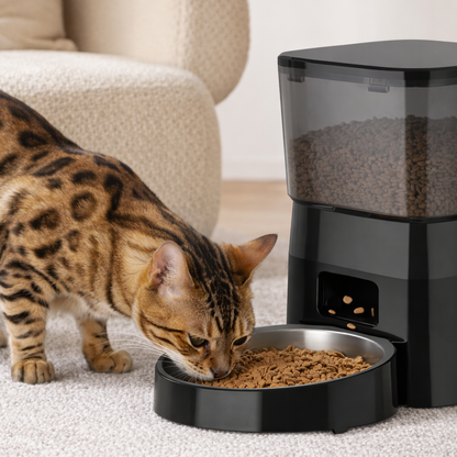 Distributeur automatique de croquettes pour chat programmable – Réservoir 4L, pour nourriture sèche