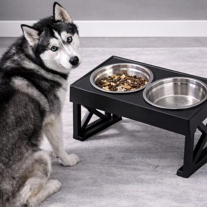 Gamelle surélevée réglable pour chien - 3 hauteurs ajustables - Bol standard ou anti-glouton - Inclinaison 15°